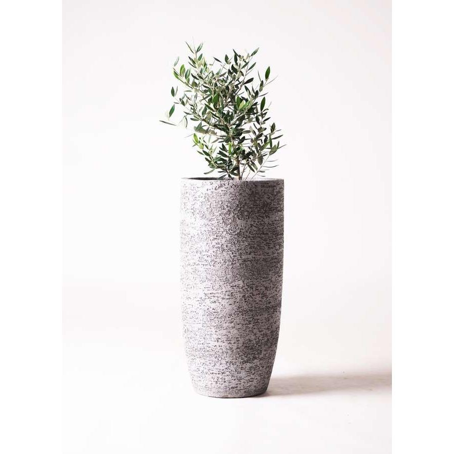 鉢カバー Eco Stone エコストーン 6号鉢用 グレー Gray 観葉植物 おしゃれ カバー インテリア 底穴なし 842 F1810 手づくり家具 ウッドギャラリー樹 通販 Yahoo ショッピング