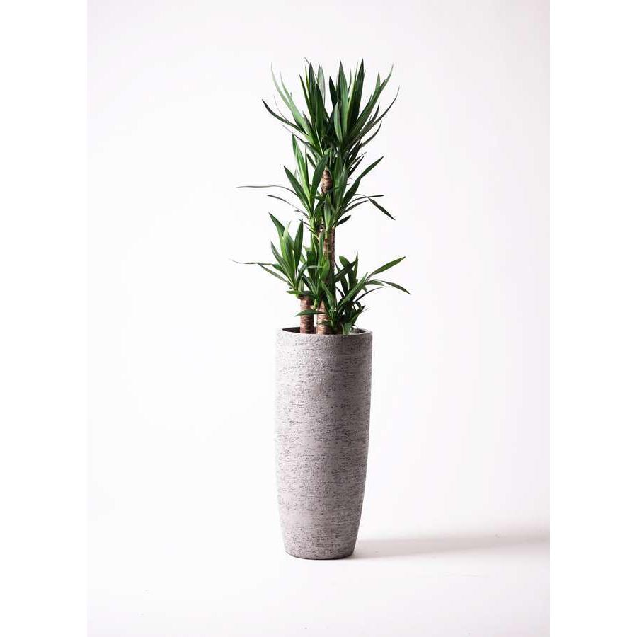 鉢カバー Eco Stone エコストーン 8号鉢用 グレー gray 観葉植物 おしゃれ カバー インテリア 底穴なしの画像