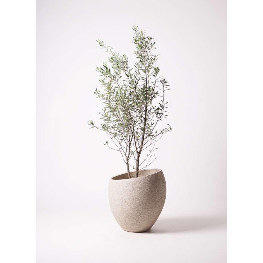 鉢カバー　大型　確認用 maxshare_ys-a08750