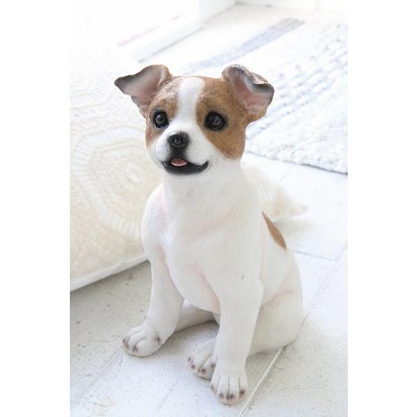 ジャックラッセルテリア Dog 犬 ドッグ 子犬 置き物 ガーデン 庭