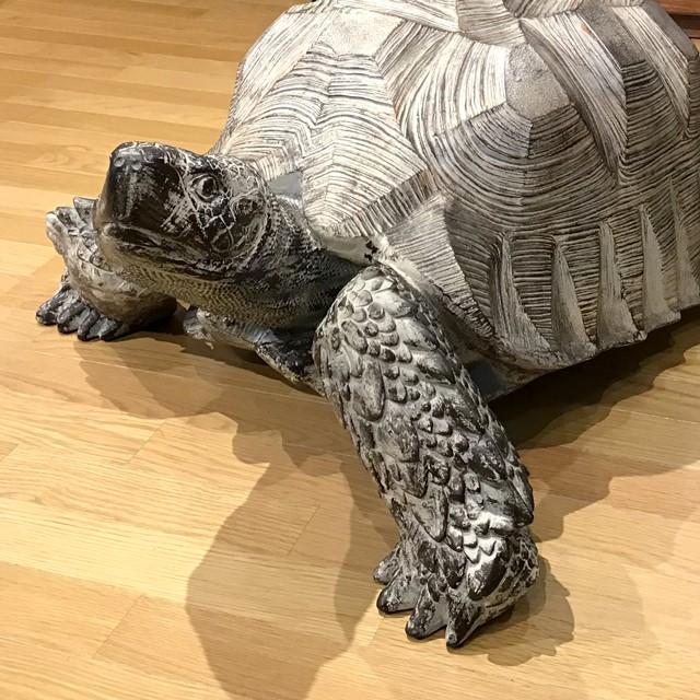 甲羅の大きな亀(ゾウガメ) 陸亀 インテリア 置物 オブジェ 送料無料