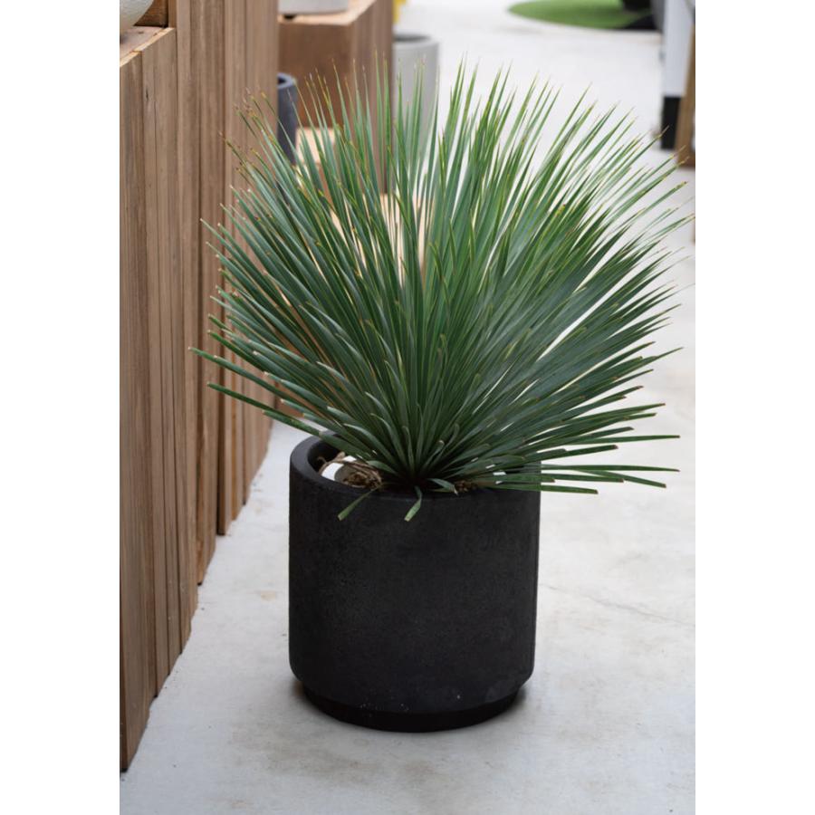 プランター 植木鉢 おしゃれ 鉢 鉢植え 軽量 シャビー ファイバーセメント製 ガーデニング 庭 ナチュラル ダークグレー ホワイト 穴あり 底穴あり 玄関前 5 6 9 手づくり家具 ウッドギャラリー樹 通販 Yahoo ショッピング