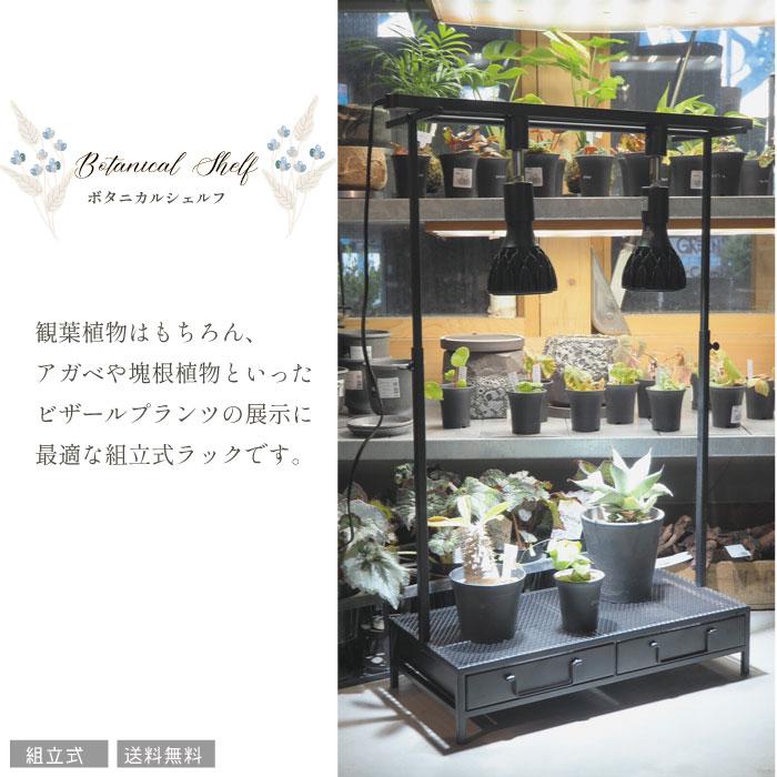ボタニカルシェルフ 園芸ラック ビザールプランツラック 植物育成 植物