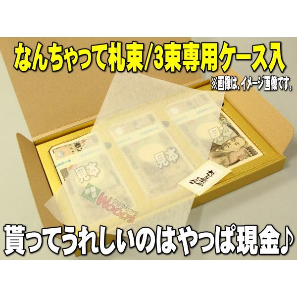 金色 3束専用ケース入り なんちゃって札束 1万円 100万円 300万円 お盆玉 お年玉 お年玉袋 ぽち袋 大入袋 祝儀袋 結婚祝い ウッドミッツ ヤフー店 通販 Yahoo ショッピング