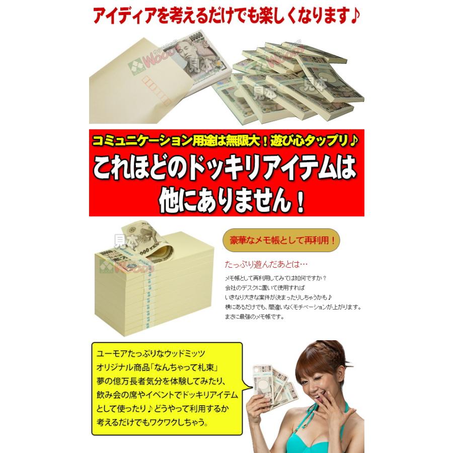 なんちゃって札束 10束 1千万円分 100万円の束が10個 1万円札サイズの