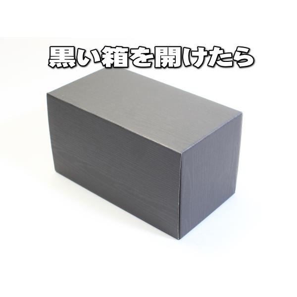 10束専用ケース入り なんちゃって札束 10束 1千万円分 専用の箱入り 