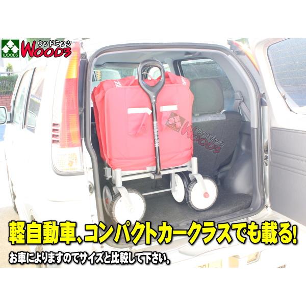 ラジオフライヤー #3956A 折りたたみ式 ワゴン アウトドアワゴン radio
