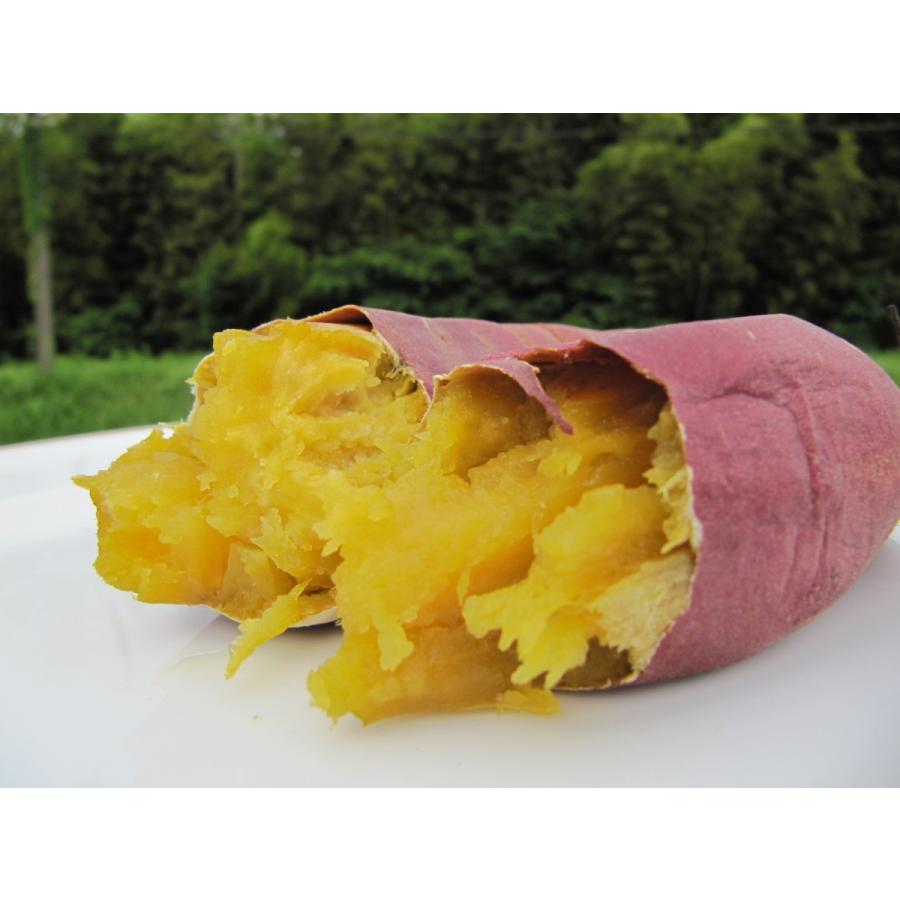 業務用やきいも焼き機 やきいーもん : ウッドベイカーズヤフー店