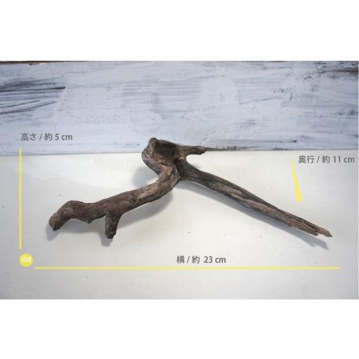 インテリア 流木 おしゃれ ナチュラル 雑貨 オブジェ 置物 観葉植物