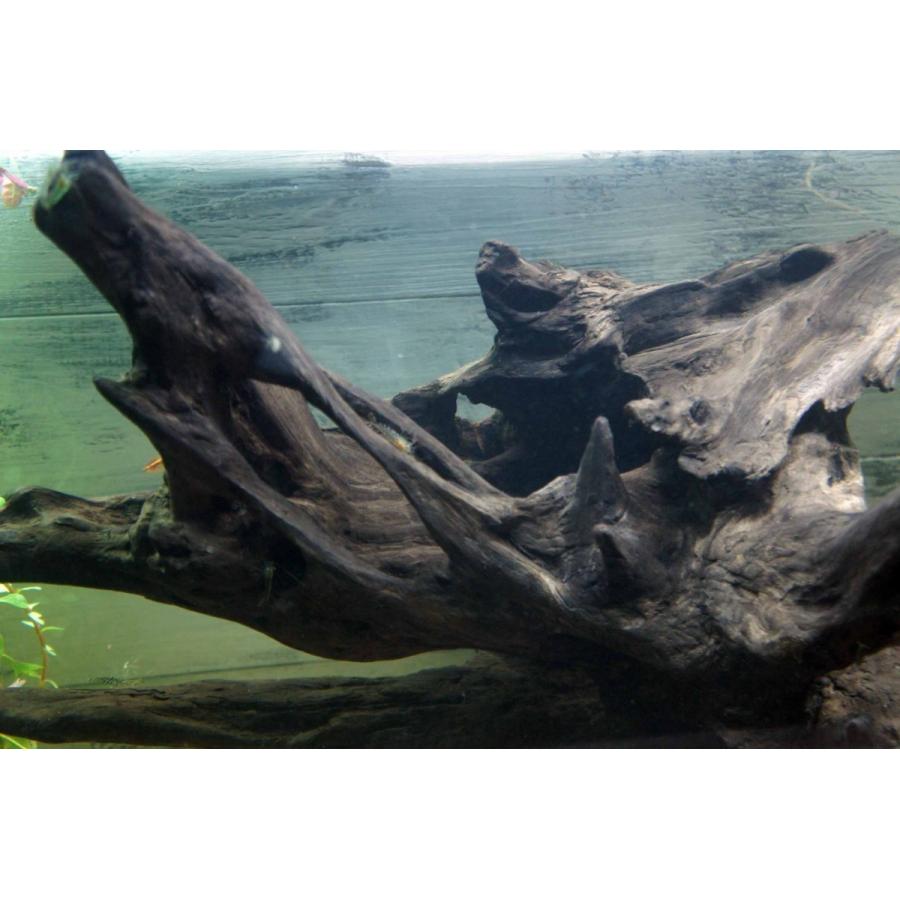 流木 アクアリウム 沈む流木 大型 熱帯魚 水槽 レイアウト アク抜き処理済 水草 ディスプレイ 天然 インテリア お洒落 Aqua1 Wood Drops 通販 Yahoo ショッピング
