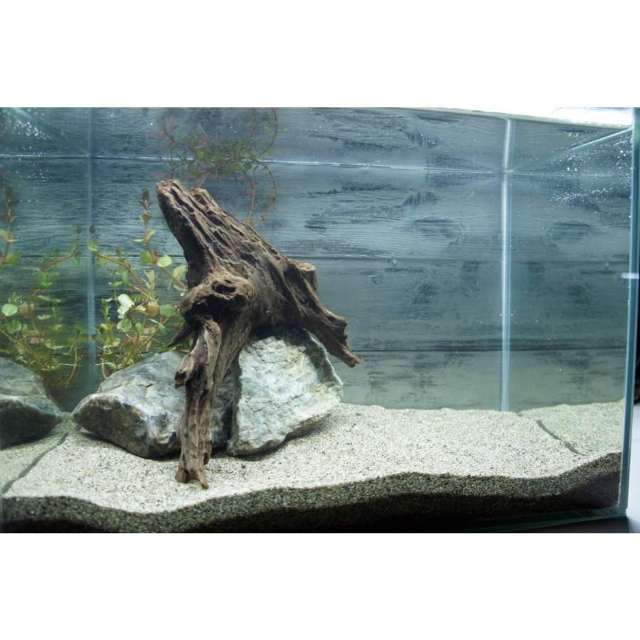流木 沈む流木 アクアリウム 熱帯魚 水槽 レイアウト アク抜き処理済 水草 ディスプレイ 自然 インテリア メダカ 285 Aqua285 Wood Drops 通販 Yahoo ショッピング