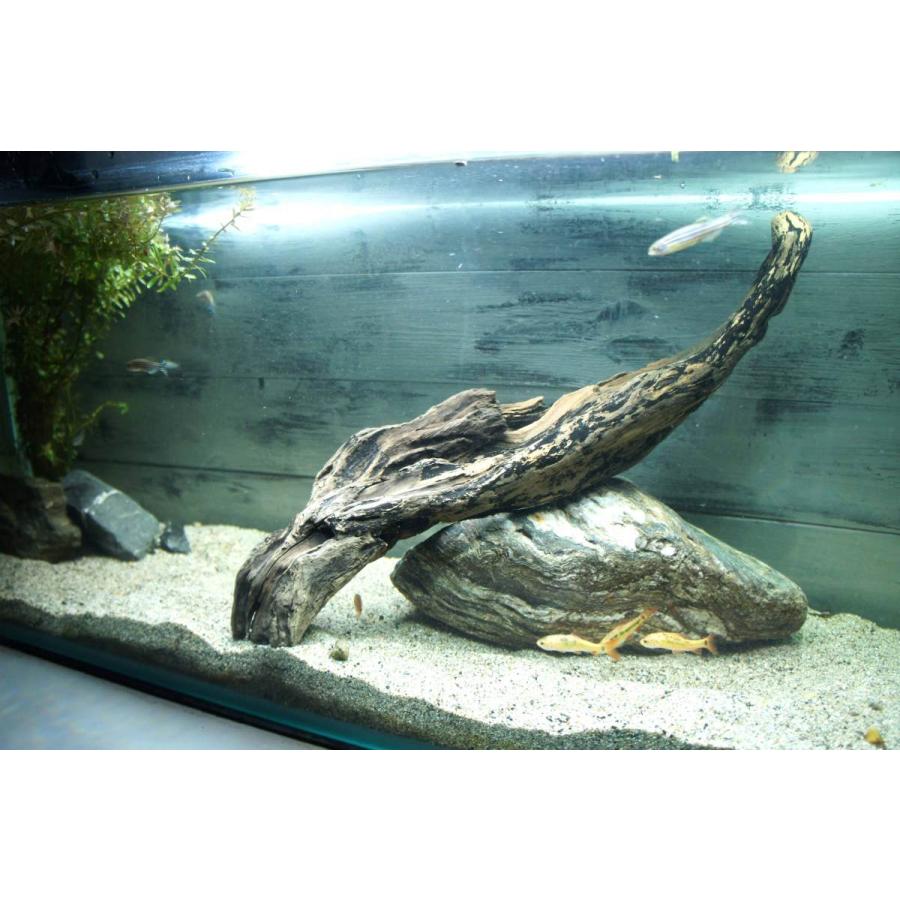 HAMILO 水槽用オブジェ 隠れ家 流木 アクアリウム 熱帯魚 約20×12×9cm