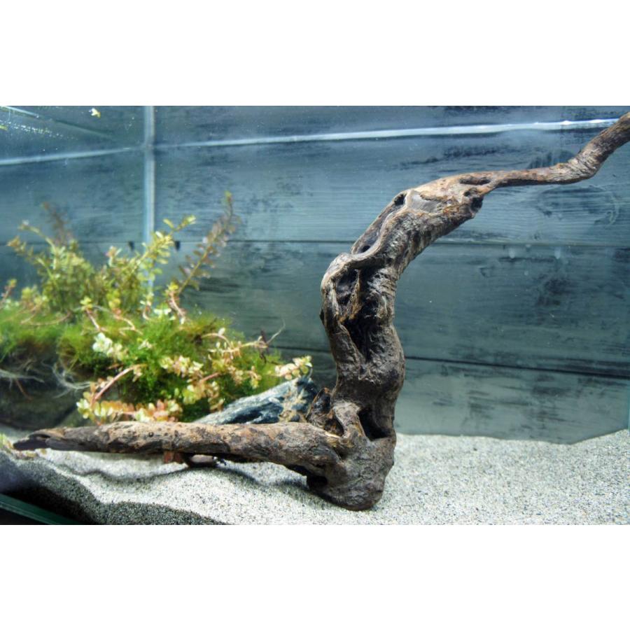 流木 アクアリウム あく抜き処理済 ディスプレイ レイアウト 水槽 熱帯魚 メダカ すぐに沈む 水草 自然 おしゃれ インテリア 340 Aqua340 Wood Drops 通販 Yahoo ショッピング