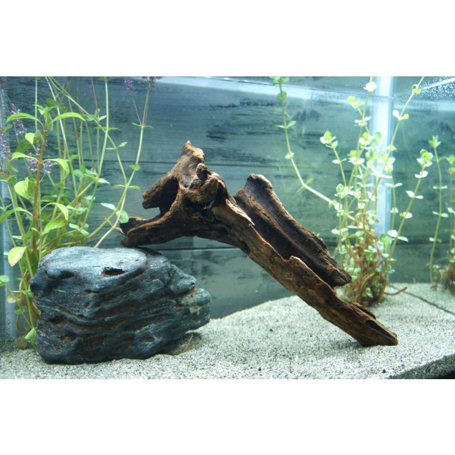 流木 アクアリウム あく抜き処理済 レイアウト 水槽 熱帯魚 メダカ すぐに沈む 水草 ディスプレイ 自然 おしゃれ インテリア 350 Aqua350 Wood Drops 通販 Yahoo ショッピング