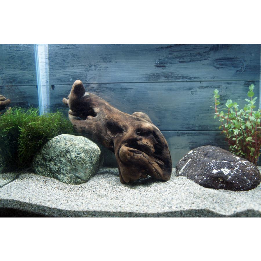 流木 アクアリウム あく抜き処理済 レイアウト 水槽 熱帯魚 メダカ すぐに沈む 水草 ディスプレイ 自然 おしゃれ インテリア 379 Aqua379 Wood Drops 通販 Yahoo ショッピング