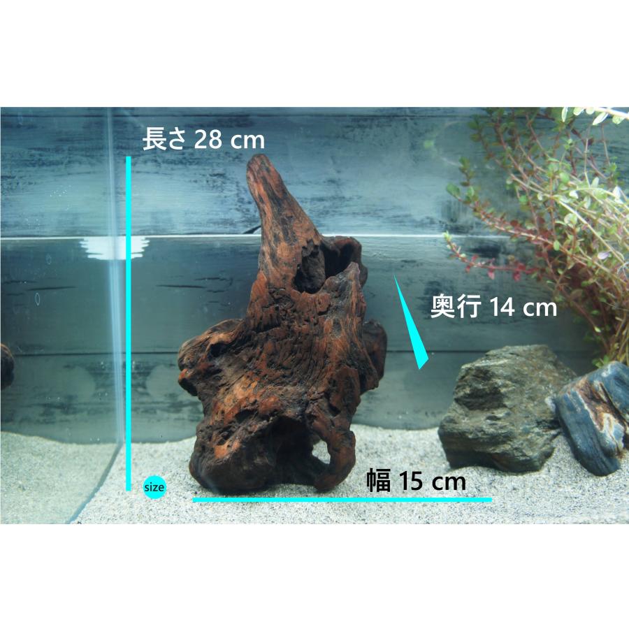 あく抜き不要！水に沈む状態でお届けします』アクアリウム 流木 あく