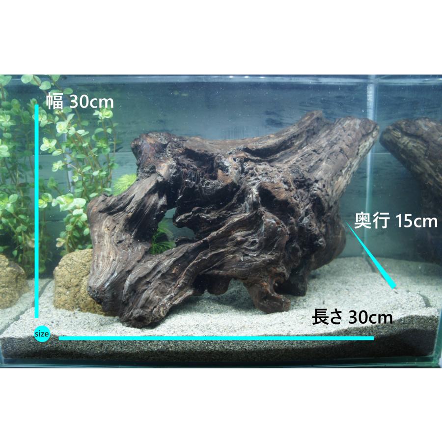 あく抜き不要！水に沈む状態でお届けします』アクアリウム 流木