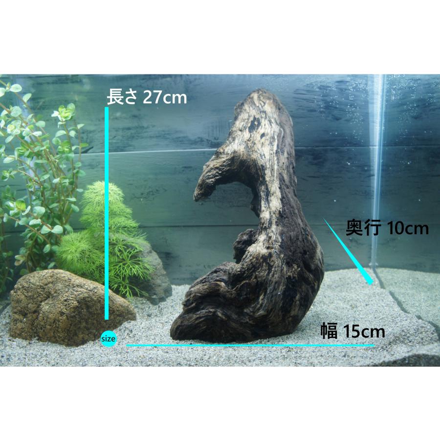 あく抜き不要！水に沈む状態でお届けします』アクアリウム 流木 あく