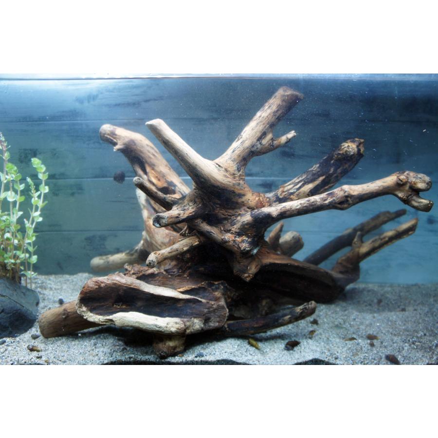 む*ん様 水槽用流木 アクアリウム 約80cm.奥行き35.高30 ほぼ沈水