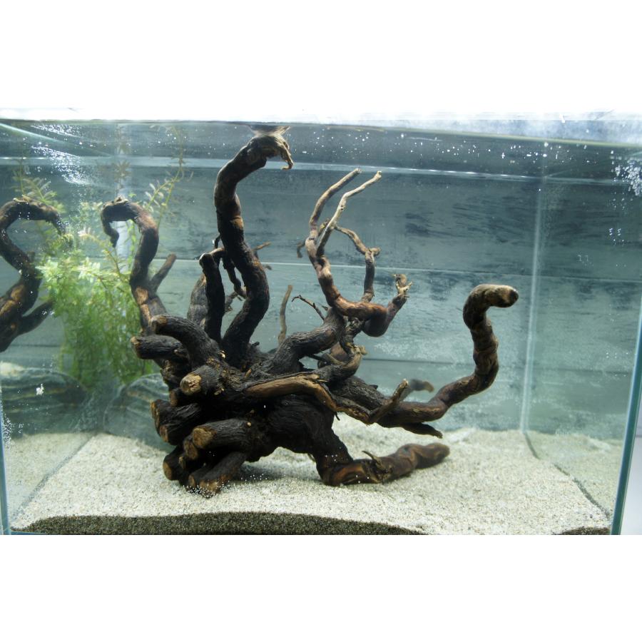 天然流木333 アク抜き処理済み　沈水処理済み　ビオトープ　水槽レイアウト あく抜き不要！水に沈む状態でお届けします』アクアリウム 流木 あく
