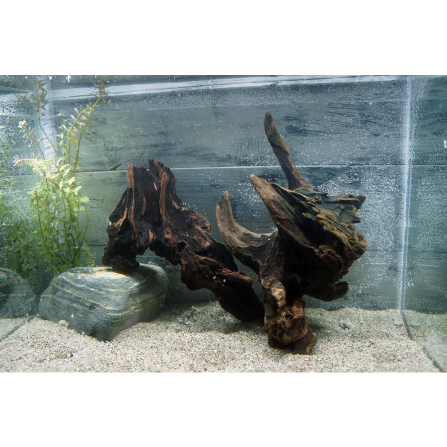 あく抜き不要！水に沈む状態でお届けします』アクアリウム 流木 2本