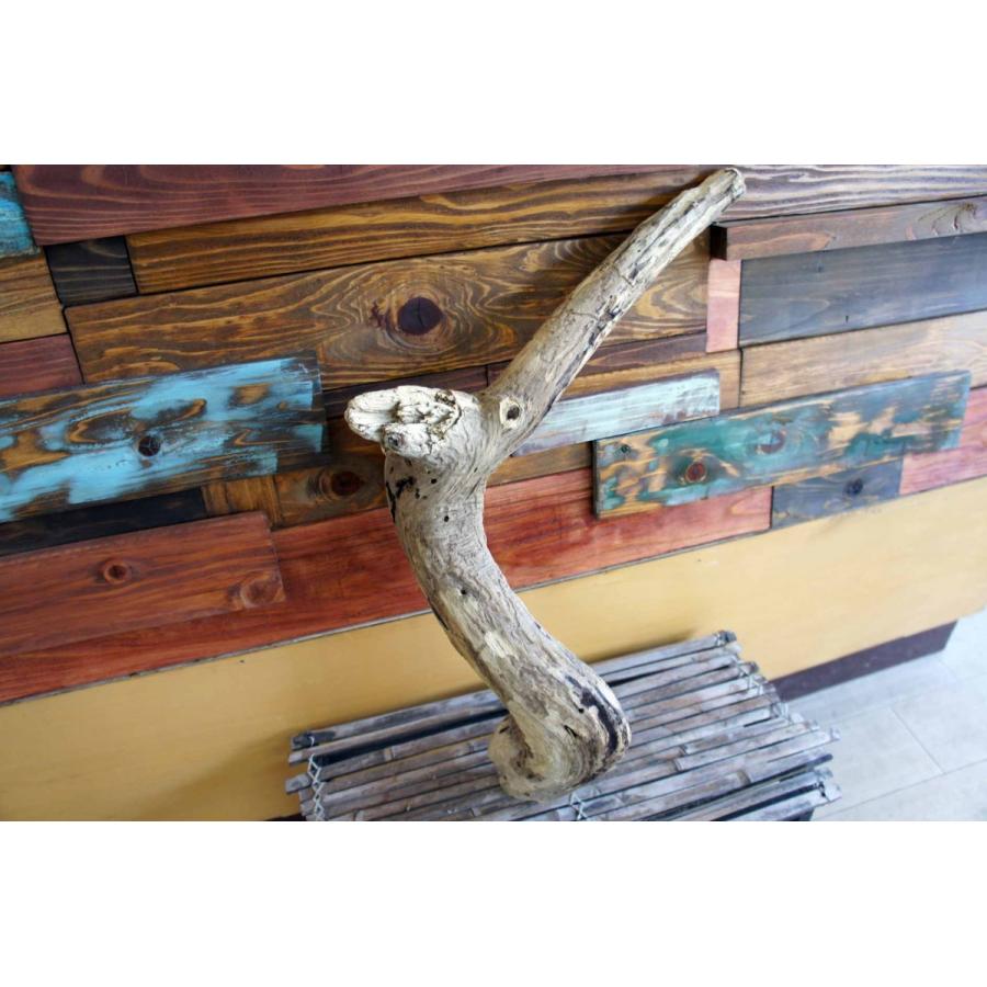 流木 137 テラリウム 爬虫類 昆虫 インテリア Www Supersport Tn