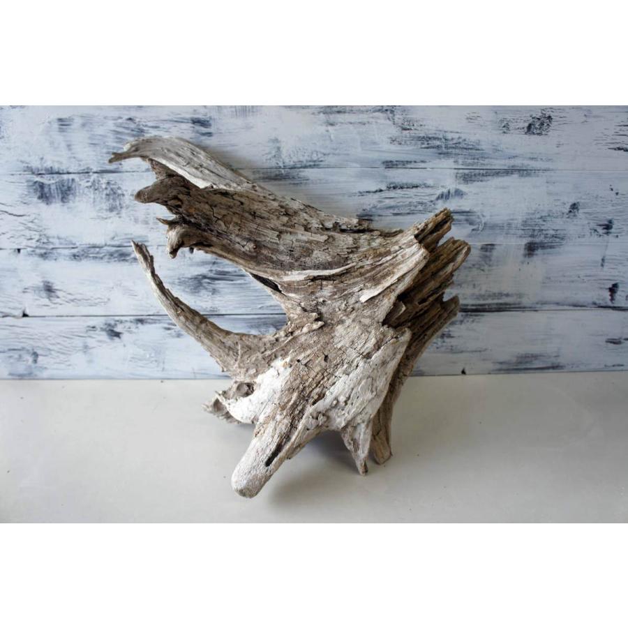 流木オブジェテーブル『LEGEND』