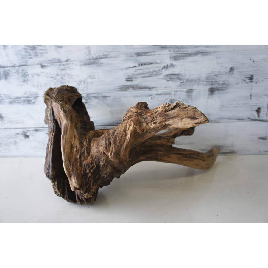 Sale 55 Off カミハタ 形状おまかせ ベトナム産 枝流木 ｌ 約２０ ３５ｃｍ 関東当日便 Qdtek Vn