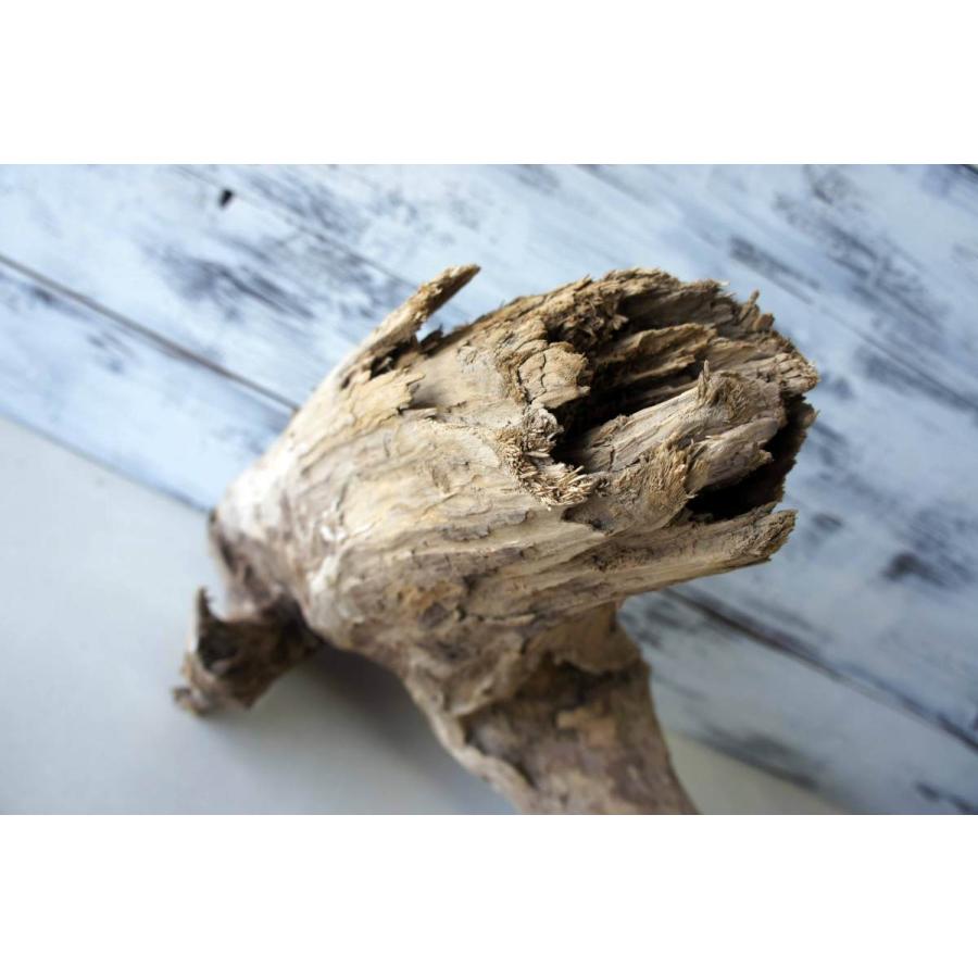 限定価格セール おしゃれ 雑貨 エアプランツ 木材 リフォーム インテリア ｄｉｙ 流木 ガーデニング 3 オブジェ リビングキャンプ デザイン オブジェ 置き物 Www We Job Com