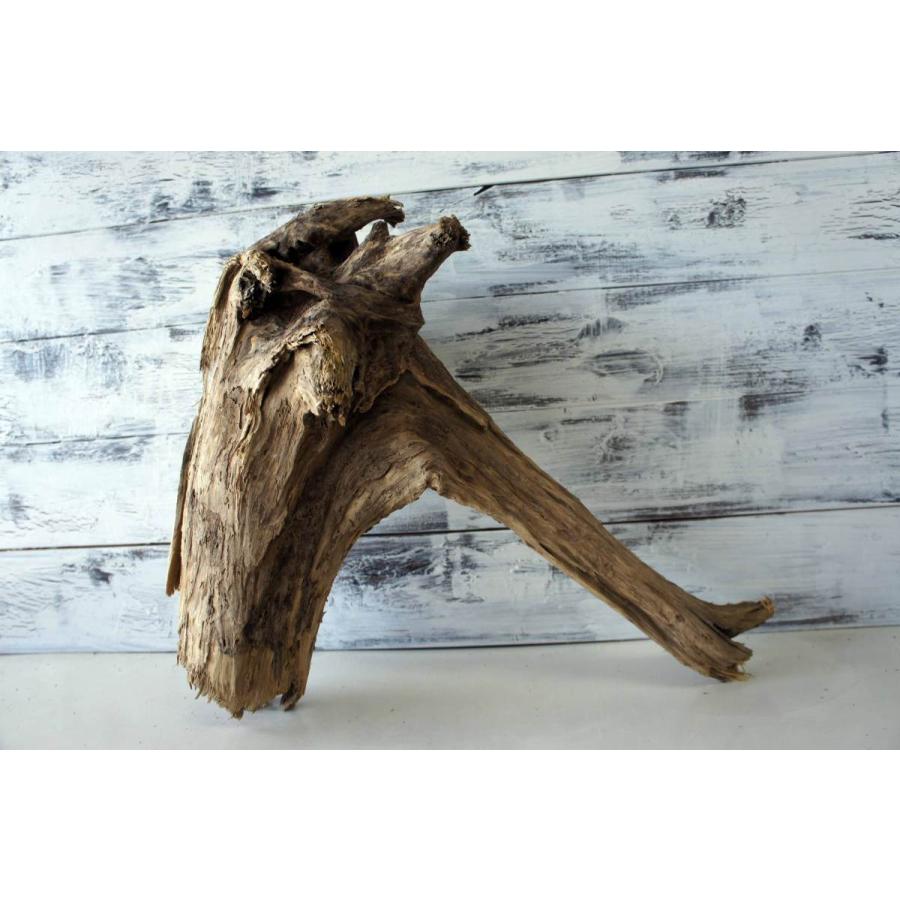 限定価格セール おしゃれ 雑貨 エアプランツ 木材 リフォーム インテリア ｄｉｙ 流木 ガーデニング 3 オブジェ リビングキャンプ デザイン オブジェ 置き物 Www We Job Com