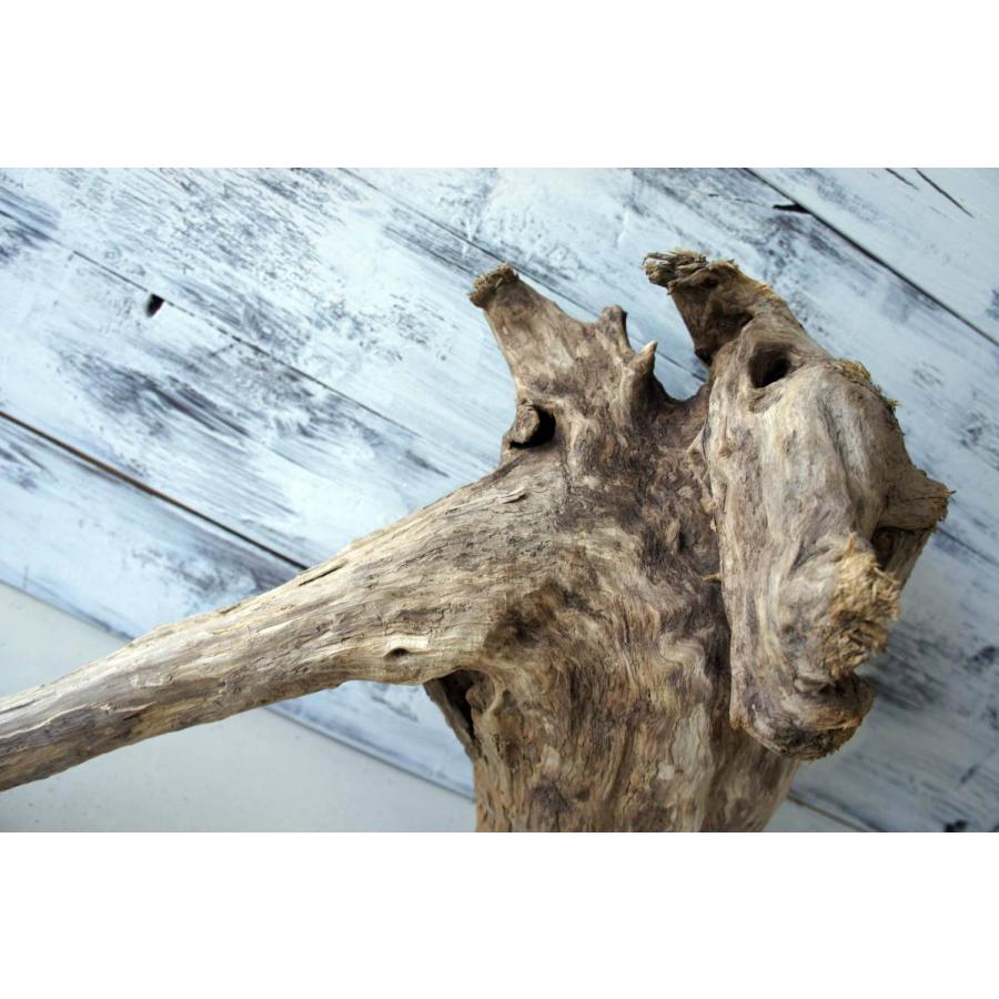 限定価格セール おしゃれ 雑貨 エアプランツ 木材 リフォーム インテリア ｄｉｙ 流木 ガーデニング 3 オブジェ リビングキャンプ デザイン オブジェ 置き物 Www We Job Com