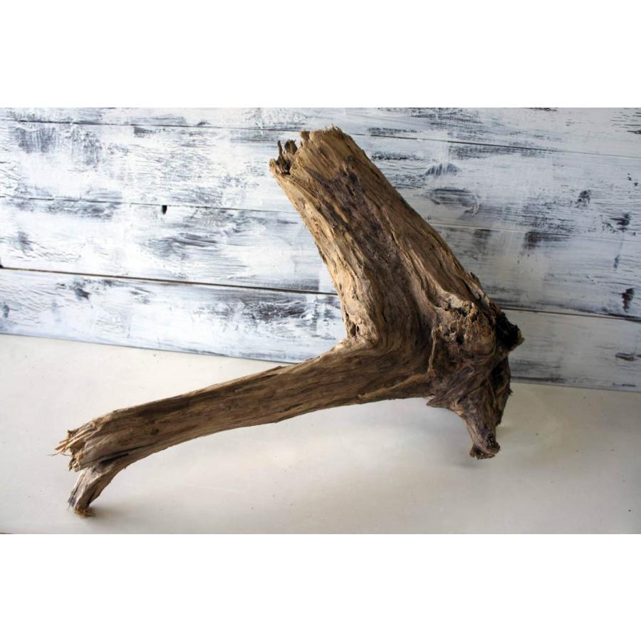 限定価格セール おしゃれ 雑貨 エアプランツ 木材 リフォーム インテリア ｄｉｙ 流木 ガーデニング 3 オブジェ リビングキャンプ デザイン オブジェ 置き物 Www We Job Com