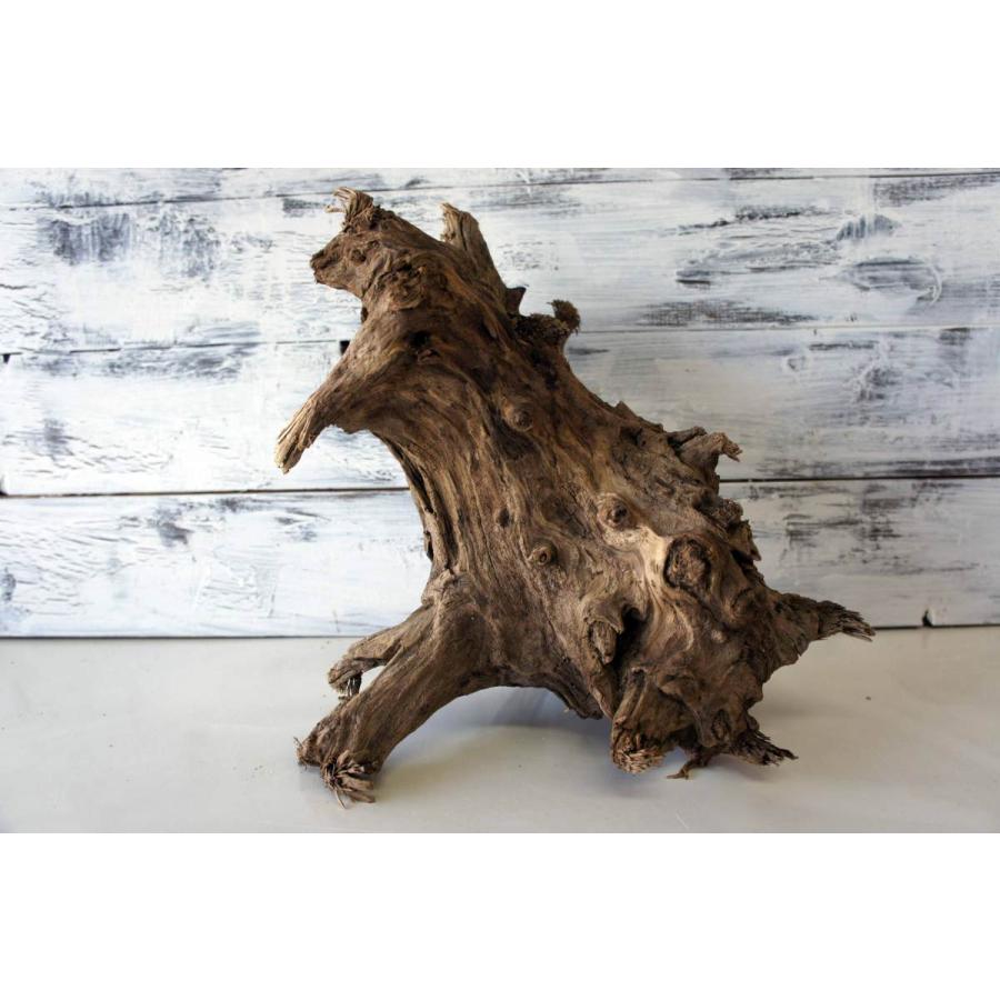 流木 インテリア 大型 天然 エアプランツ アクアテリウム 止まり木 DIY 流木 インテリア 大型 天然 エアプランツ アクアテリウム 止まり木 DIY