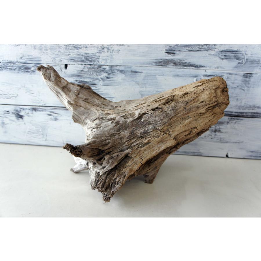 流木 インテリア 大型 天然 エアプランツ アクアテリウム 止まり木 DIY