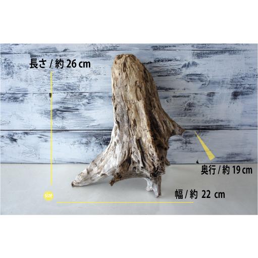 流木 DIY インテリア リフォーム 木材 エアプランツ 雑貨 おしゃれ
