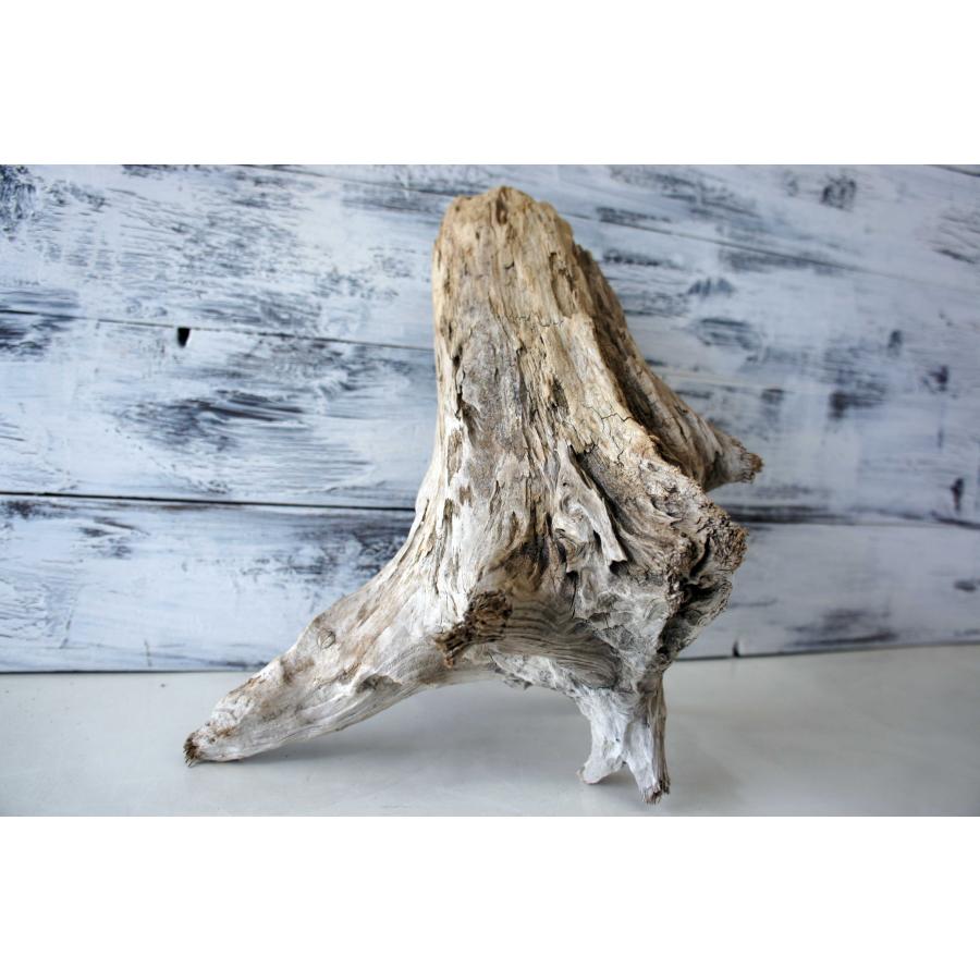 流木 DIY インテリア リフォーム 木材 エアプランツ 雑貨 おしゃれ