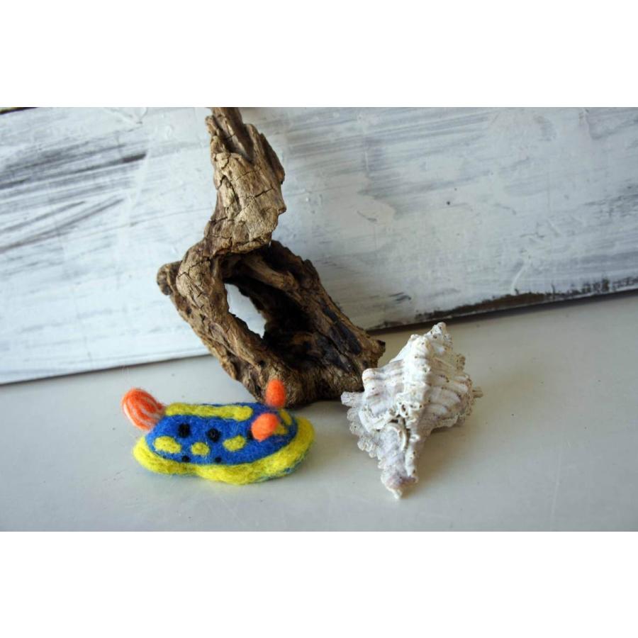 楽天市場】サンゴ オブジェの通販 流木アート⚫︎恐竜 置物 インテリア