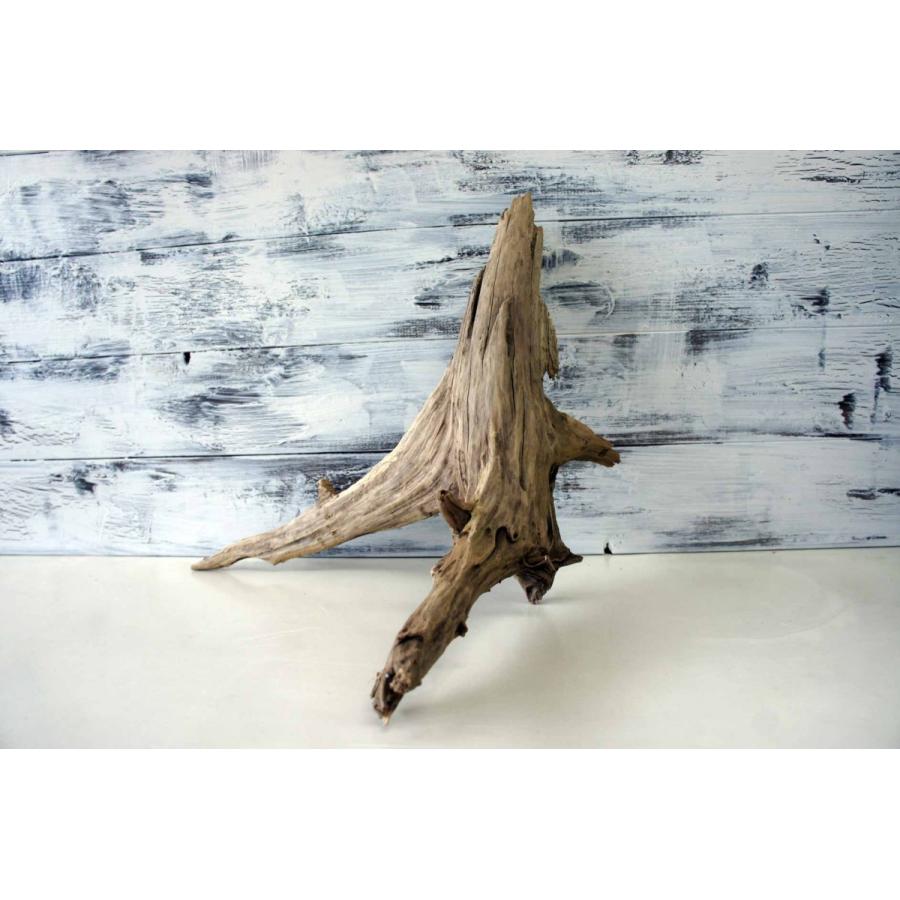 No.1081 【リメイク】ナチュラルな雰囲気の流木テーブル 流木インテリア BELAKE 流木 インテリア テーブル｜デスク