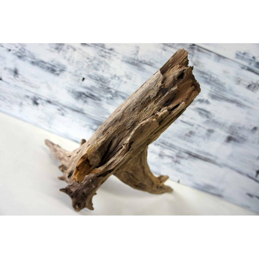 インテリア 流木 おしゃれ ナチュラル 雑貨 オブジェ 置物 観葉植物