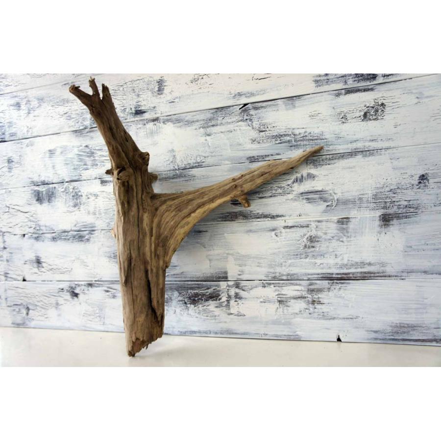 インテリア 流木 おしゃれ ナチュラル 雑貨 オブジェ 置物 観葉植物