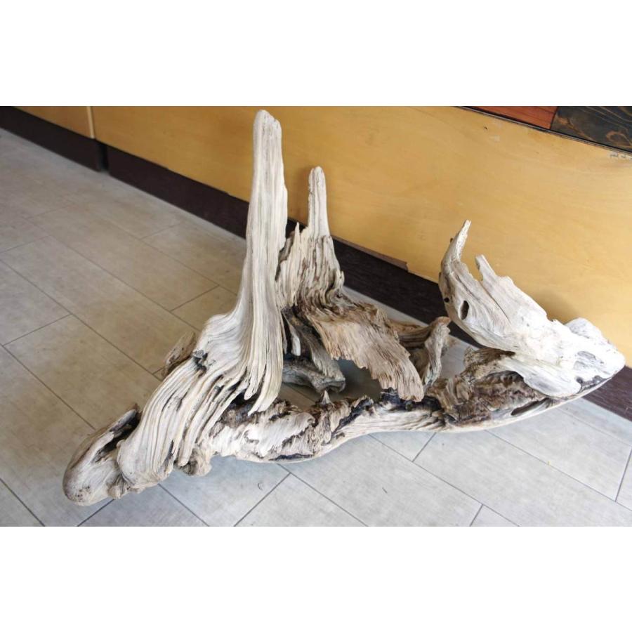 インテリア 流木 おしゃれ ナチュラル 雑貨 オブジェ 置物 観葉植物