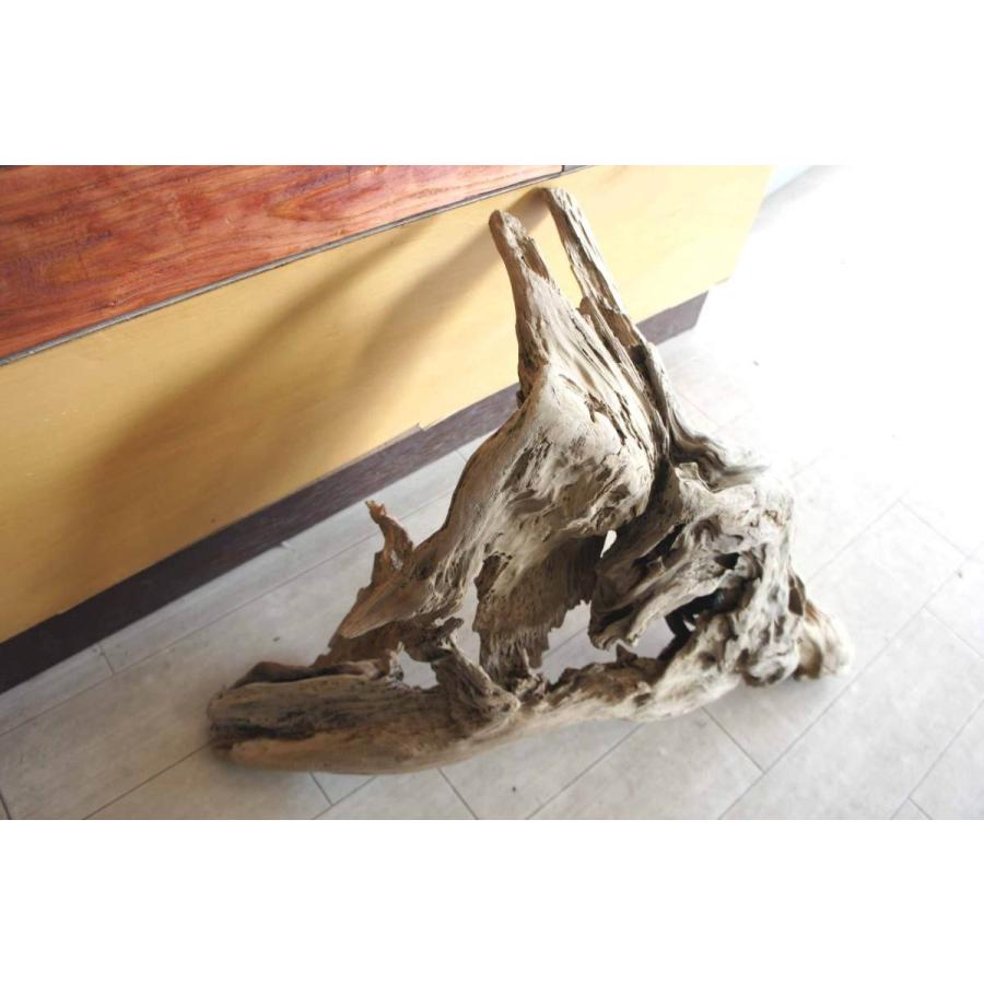 インテリア 流木 おしゃれ ナチュラル 雑貨 オブジェ 置物 観葉植物