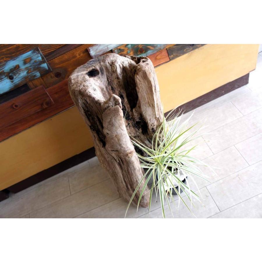 雑貨　ウッド　インテリア　オブジェ　流木 ELEMENTS（インテリア） 流木風 オブジェ Aタイプ インテリア