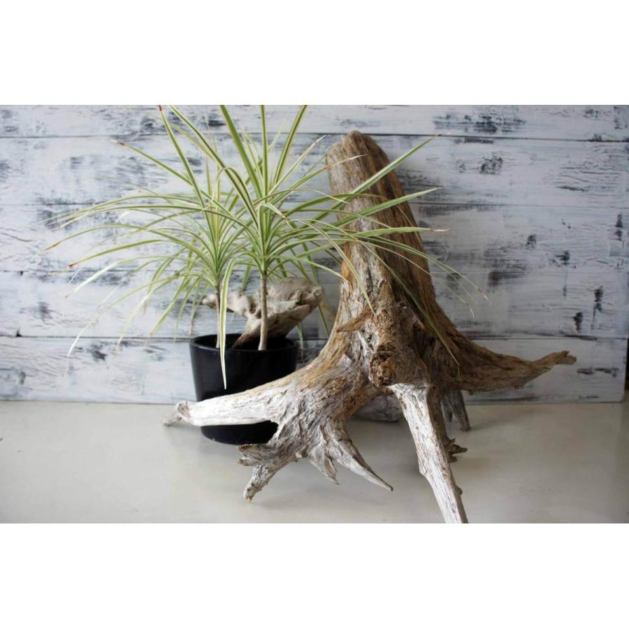 雑貨ウッドインテリアオブジェ流木