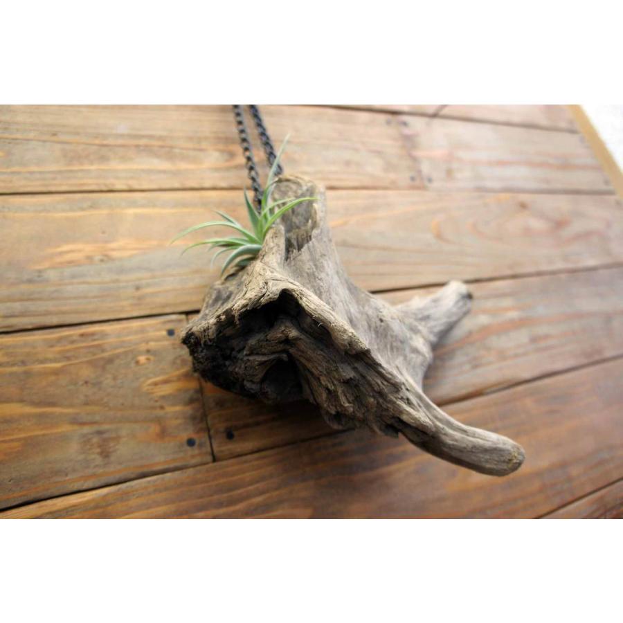 壁掛け インテリア 流木 おしゃれ ナチュラル 雑貨 オブジェ 置物 観葉