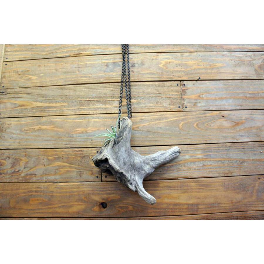 壁掛け インテリア 流木 おしゃれ ナチュラル 雑貨 オブジェ 置物 観葉