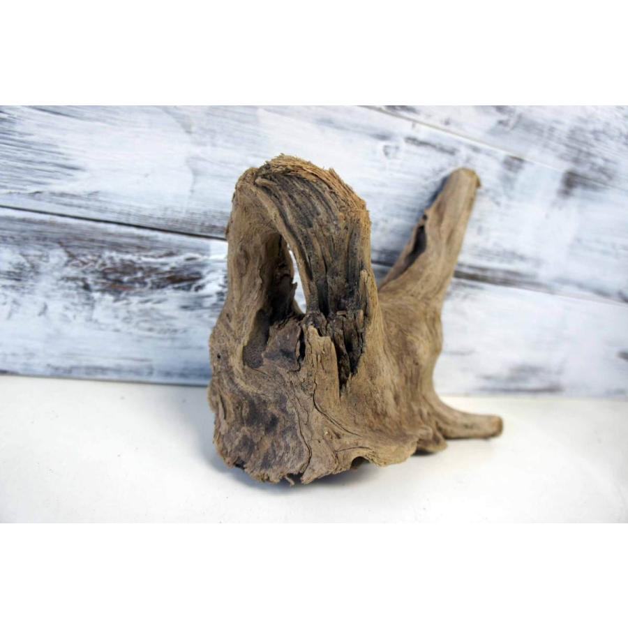 壁掛け インテリア 流木 おしゃれ ナチュラル 雑貨 オブジェ 置物 観葉