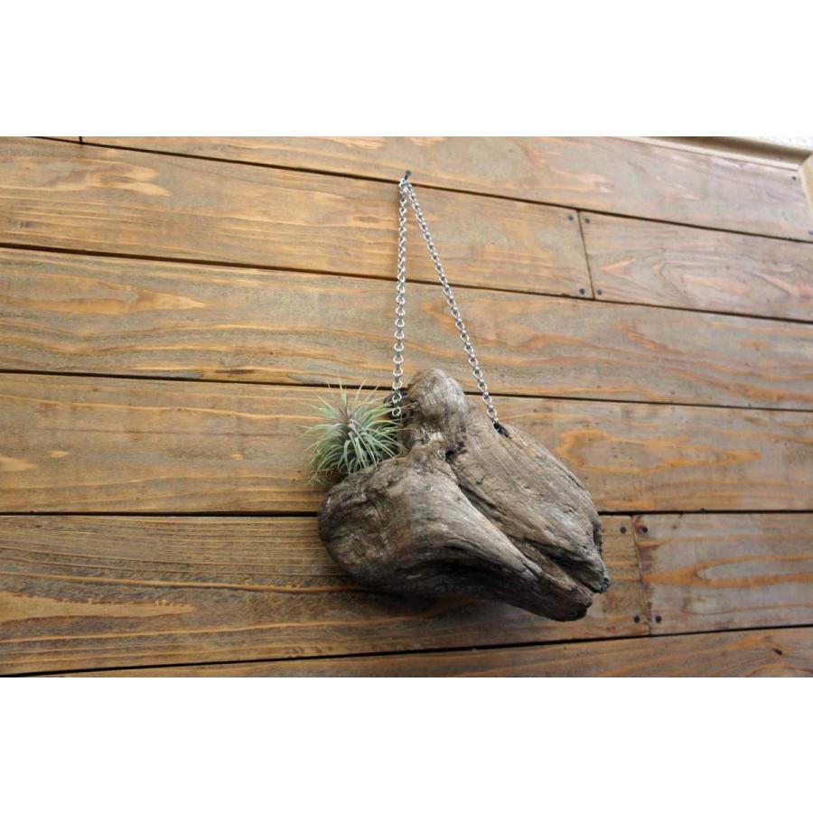 壁掛け インテリア 流木 おしゃれ ナチュラル 雑貨 オブジェ 置物 観葉