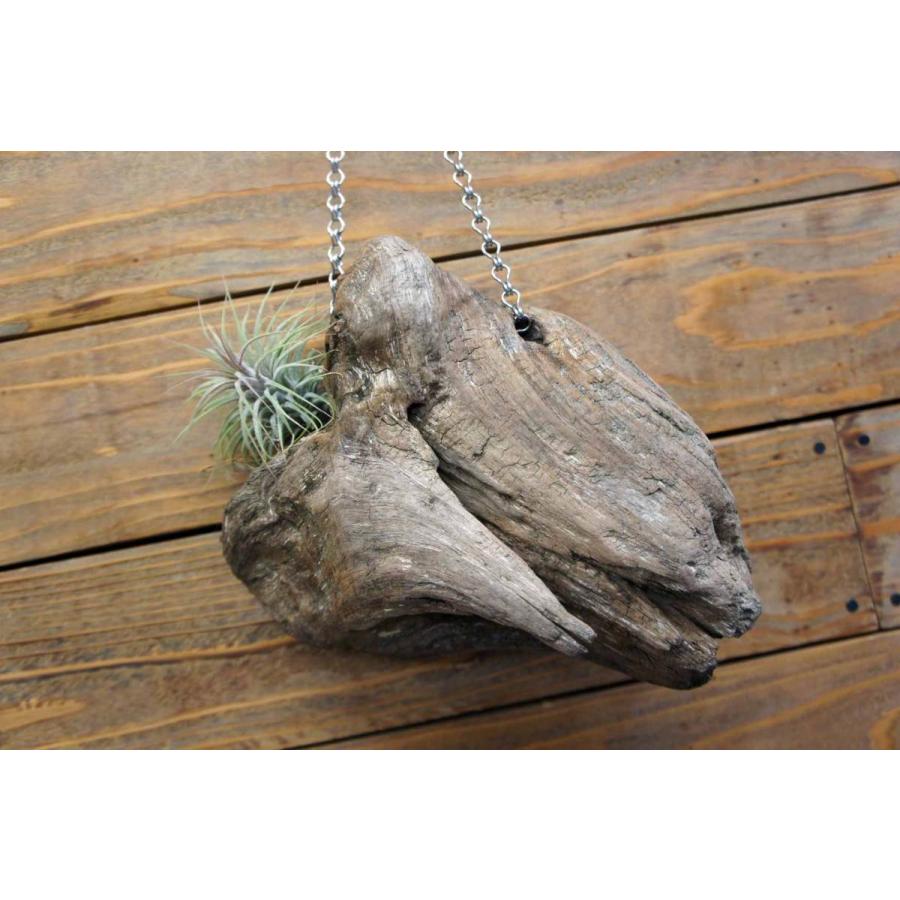 壁掛け インテリア 流木 おしゃれ ナチュラル 雑貨 オブジェ 置物 観葉