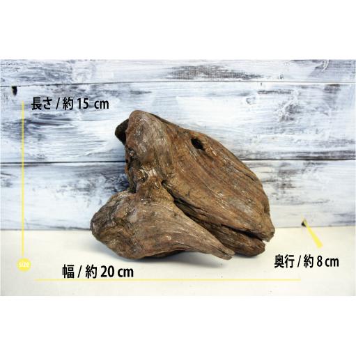 壁掛け インテリア 流木 おしゃれ ナチュラル 雑貨 オブジェ 置物 観葉